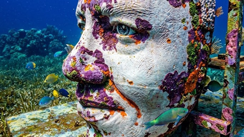 Below Saint Lucia Underwater Sculpture Park Opens This Winter